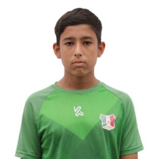 امیر علی سعادتی