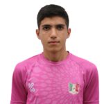 امیر مهدی کوچکی