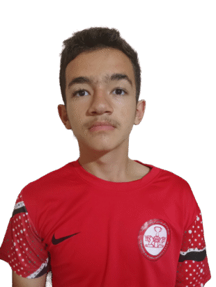 آریا تاروردی