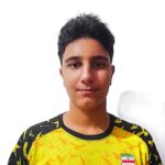 ابوالفضل فکوری