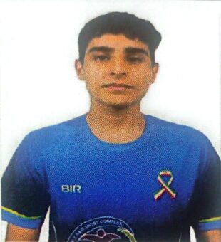 سید علی ولی الهی چلک