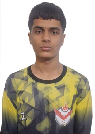 امیر محمد واسق