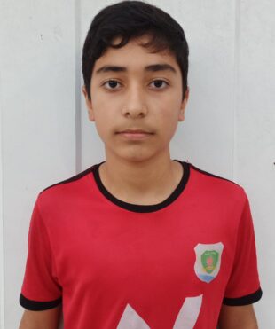 امیرپارسا مسیح پور