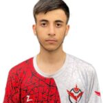 امیر علی شرری