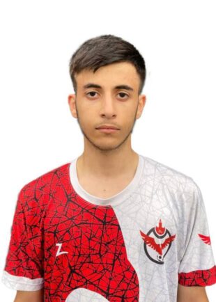 امیر علی شرری