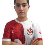 امیر عباس مبصر