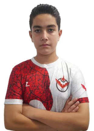 امیر عباس مبصر