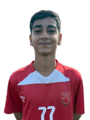 امیر علی بابائی