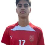 محمد جواد پارسای