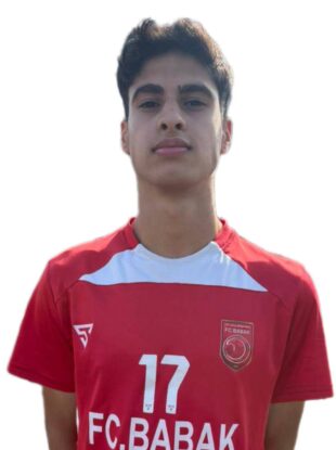 محمد جواد پارسای