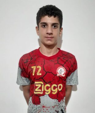 امیر علی ربیعی