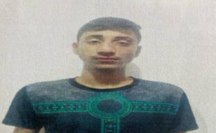 محمد تقی مهر