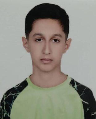 آرین حسن پور