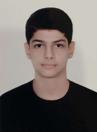 محمدطاها حمیدی