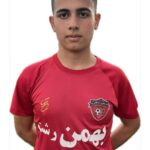 محمد رضا کاشی