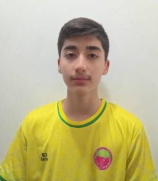 آیدین بالازاده