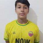 محمد امین حبیبی