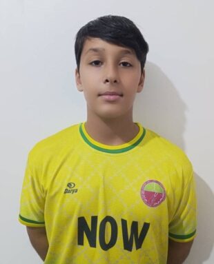 محمد امین حبیبی