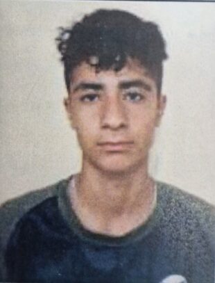 فرنام ایرج زاده