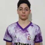 آوش هنر آمیز