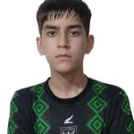 محمدمهدی سلمانی