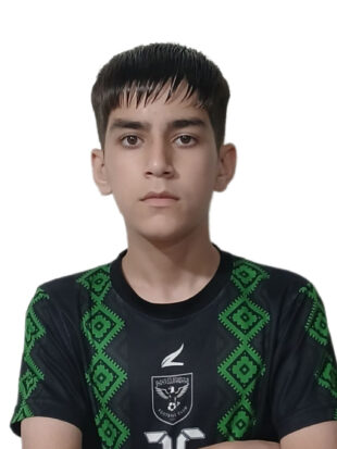 محمدمهدی سلمانی