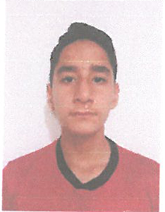 طاها روشن نژاد