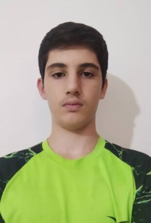 مبین هوشمند