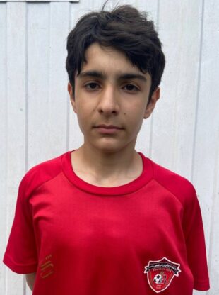 امیر پارسا بزرگی