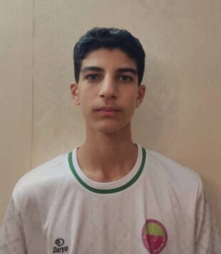 امیر علی بستانی