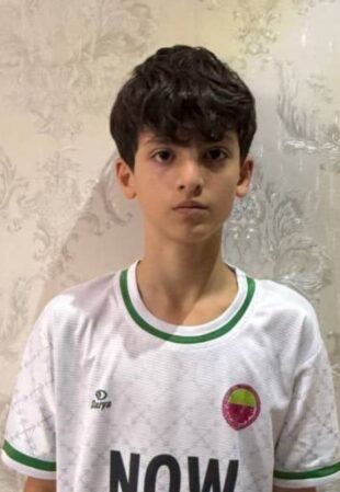 مهدی میر شفقی