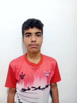 محمدحسین رفیعی