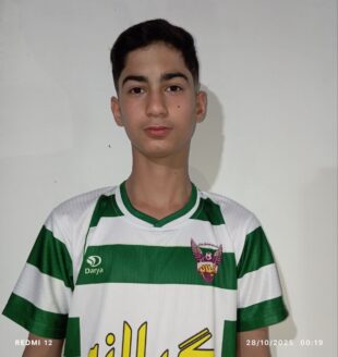 امیرحسین ناصری