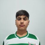 حسام نیک ژیانی