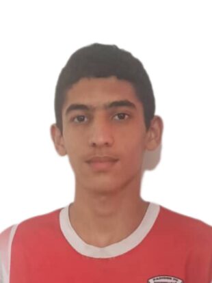 ایلیا اکبری