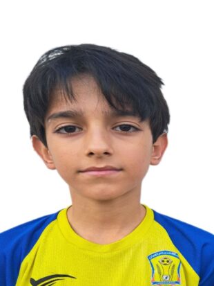 حامی پیشه ور