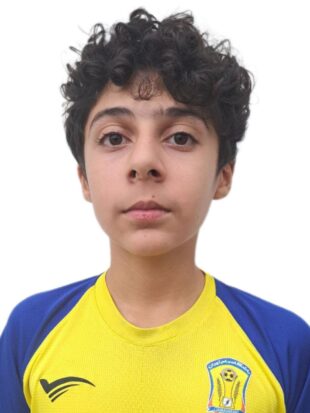 سپهر خواجه میری