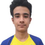 بهامین آقایی پور