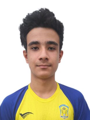 بهامین آقایی پور