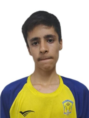 حسین پورحسن