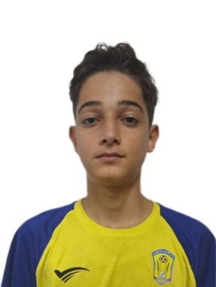 امیرحسین وجیه نیاری