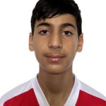 پارسا شیرخانی