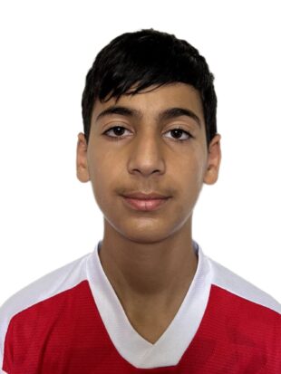 پارسا شیرخانی