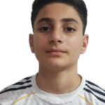 رادین حمیدی