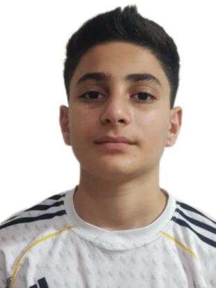 رادین حمیدی