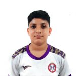 امیر آریا پورمحمد چوبری