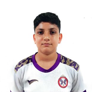 امیر آریا پورمحمد چوبری