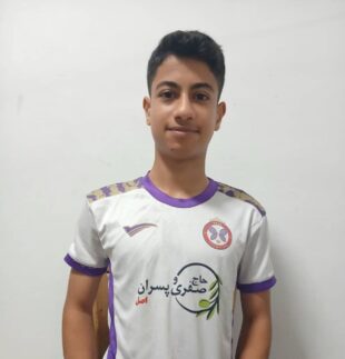 علیرضا انصاری