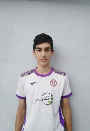 محمدجواد میرزاجانی