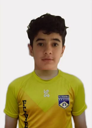 علی دولتخواه